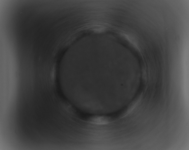 X0000100920221200807081158