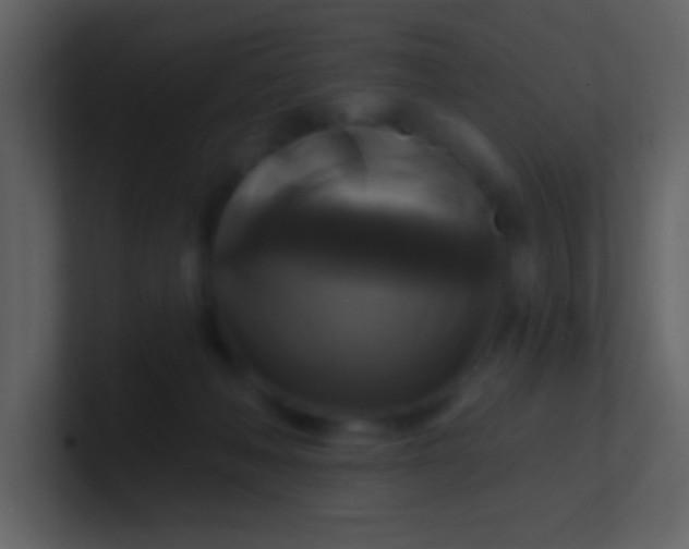 X0000100920222200807081158