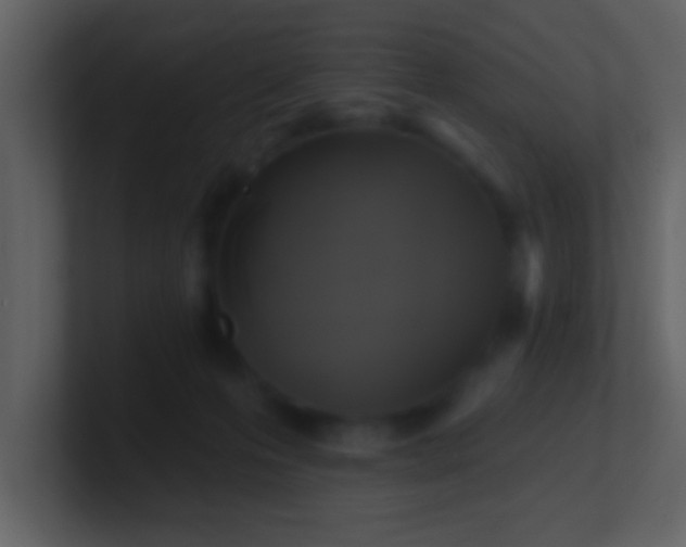 X0000100920223200807081158