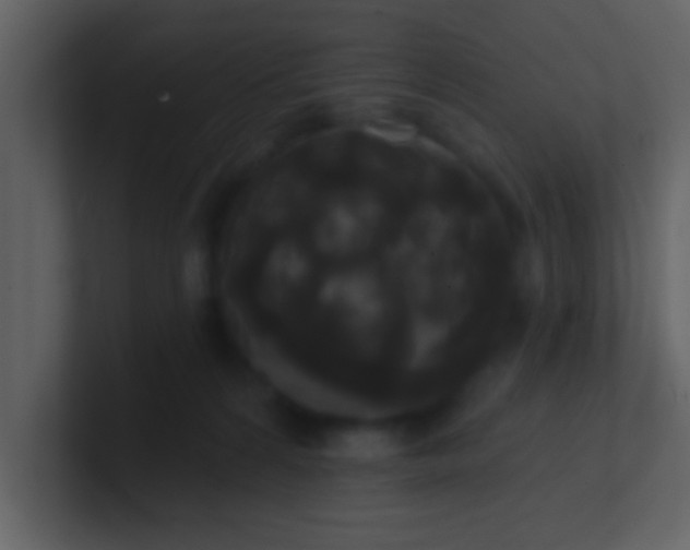 X0000100920224200807081158