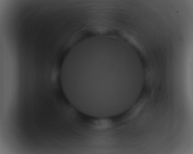 X0000100920225200807081158