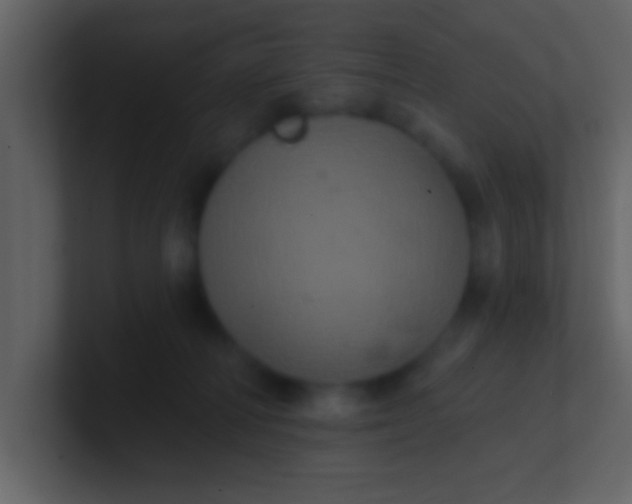 X0000100920226200807081158