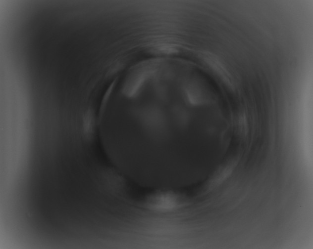 X0000100920228200807081158