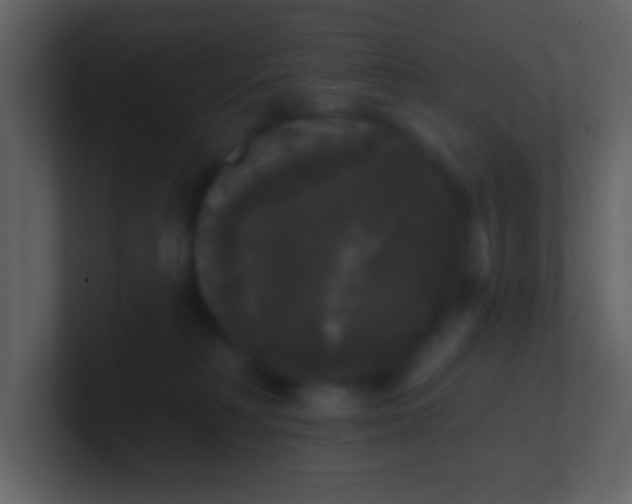 X0000100920230200807081158