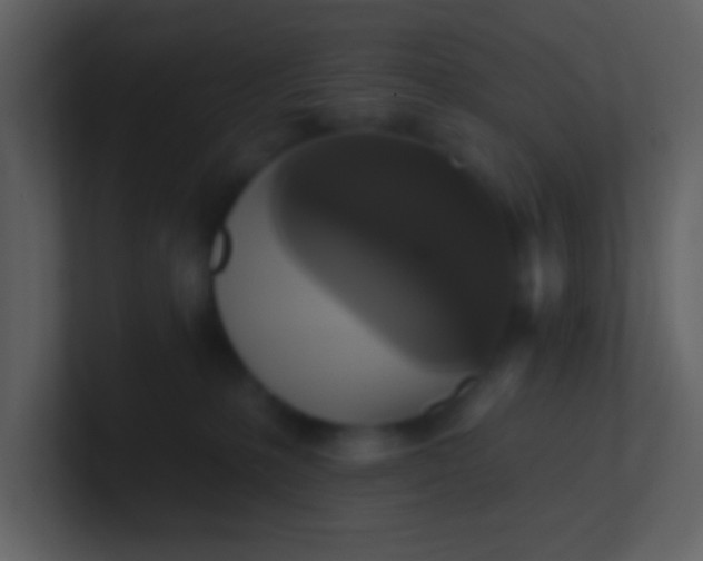 X0000100920231200807081158