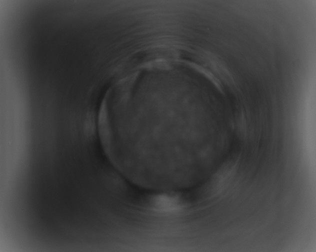 X0000100920232200807081158