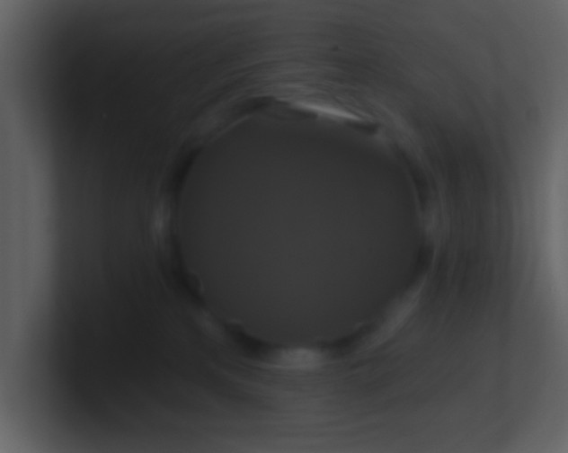 X0000100920233200807081158