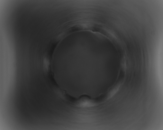 X0000100920235200807081158