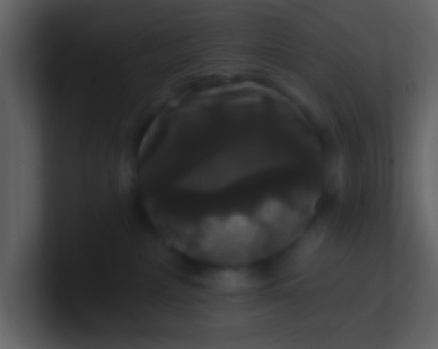 X0000100920236200807081158