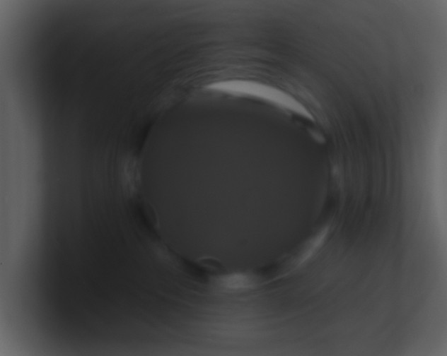 X0000100920237200807081158