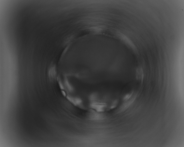 X0000100920238200807081158