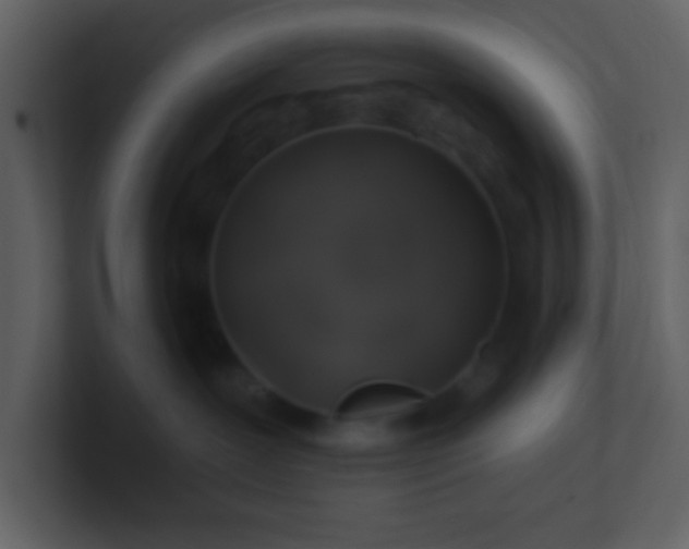 X0000100920239200807081158