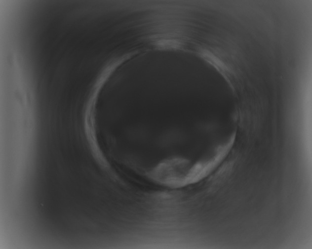 X0000100920241200807081157