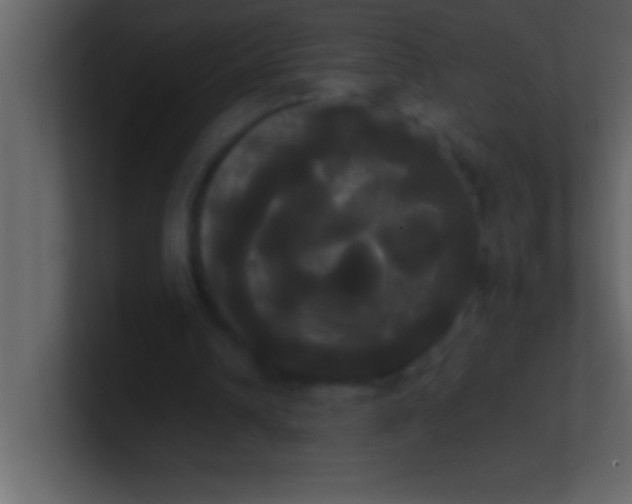 X0000100920242200807081157