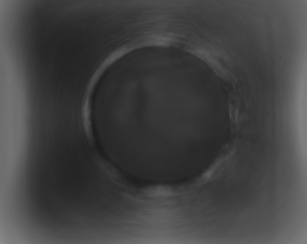 X0000100920244200807081157