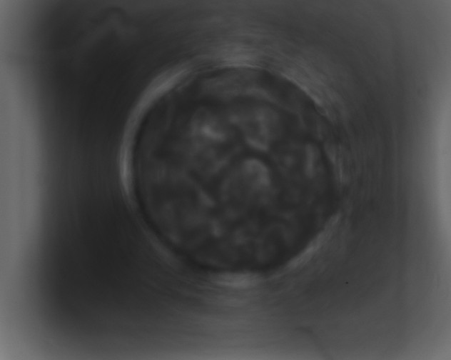 X0000100920245200807081157