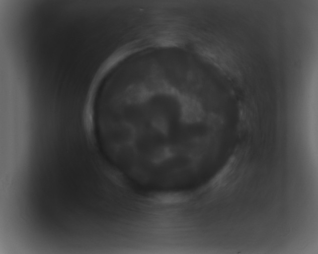 X0000100920246200807081157