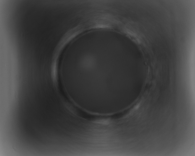 X0000100920247200807081157