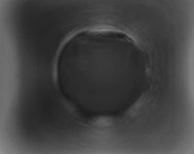 X0000100920248200807081157