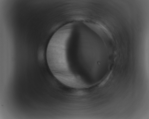 X0000100920249200807081157