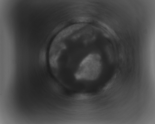 X0000100920250200807081157