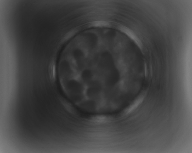 X0000100920253200807081157