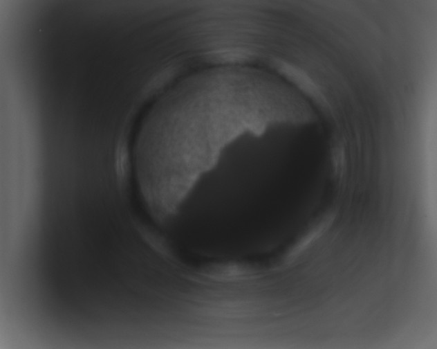 X0000100920254200807081157