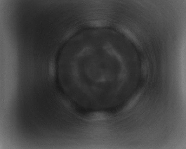 X0000100920255200807081157