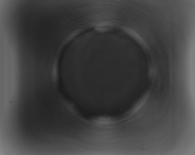 X0000100920256200807081157