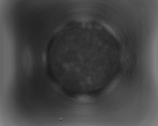 X0000100920258200807081157