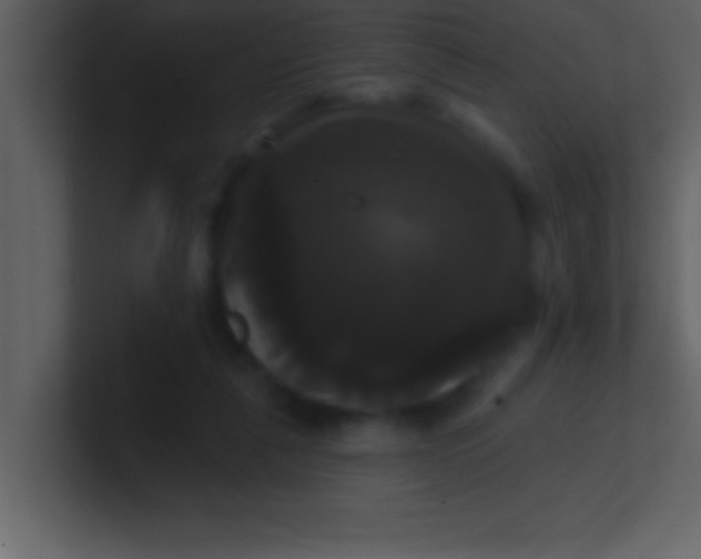 X0000100920259200807081157