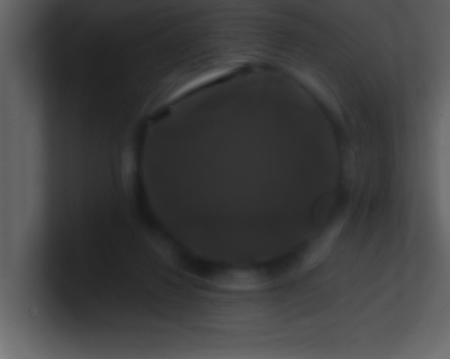 X0000100920260200807081157