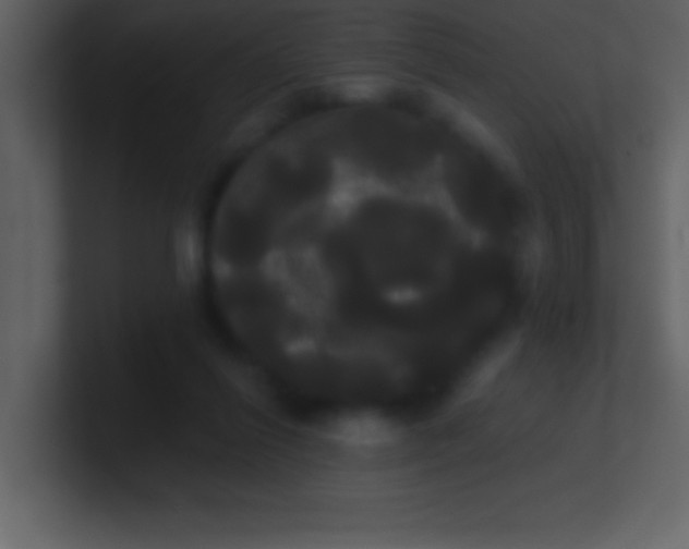 X0000100920262200807081157