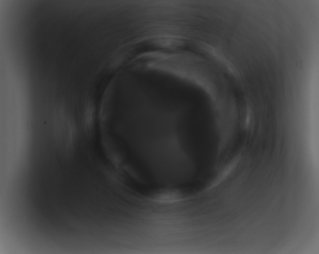 X0000100920263200807081157