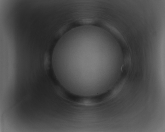 X0000100920264200807081157