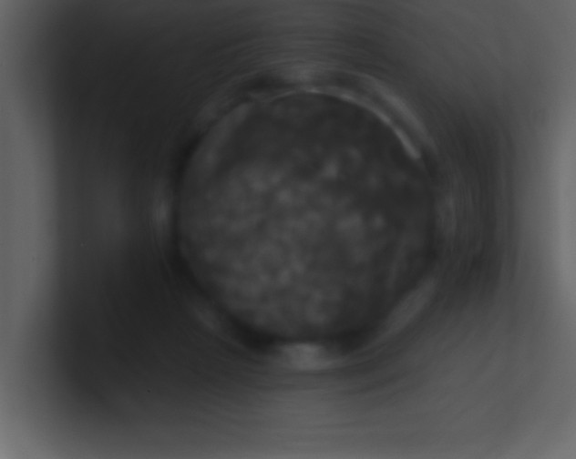 X0000100920265200807081157