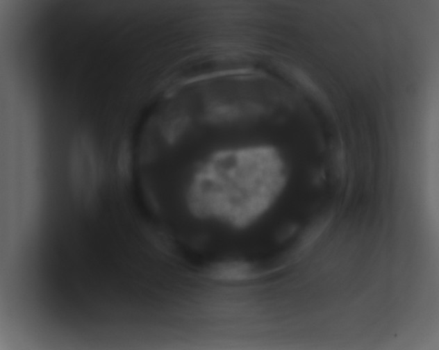 X0000100920266200807081157