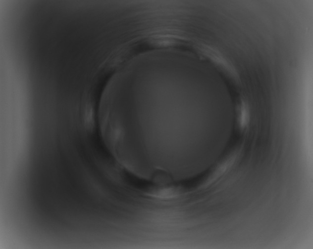 X0000100920267200807081157