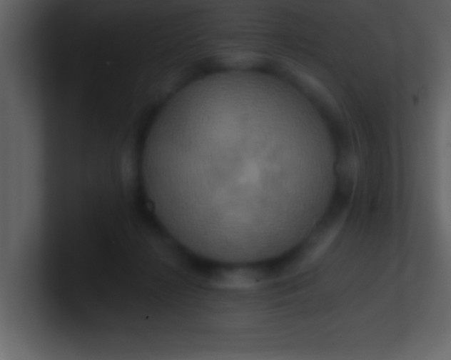 X0000100920268200807081157