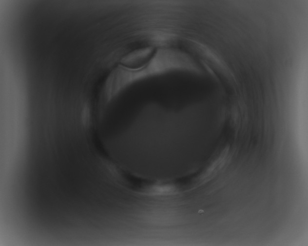 X0000100920270200807081157