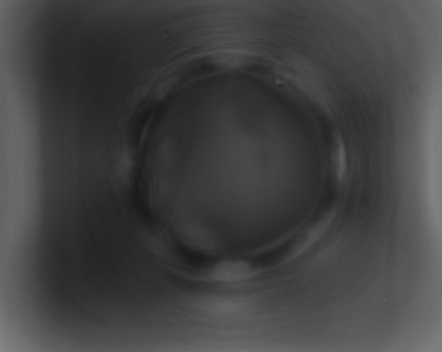 X0000100920271200807081157