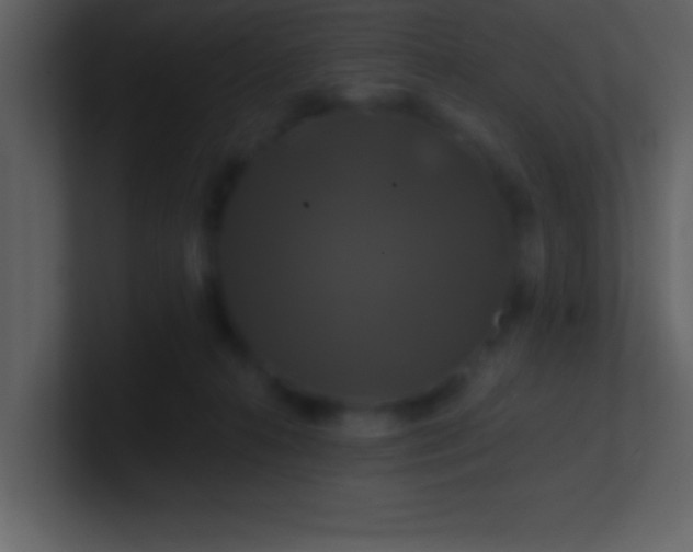 X0000100920272200807081157