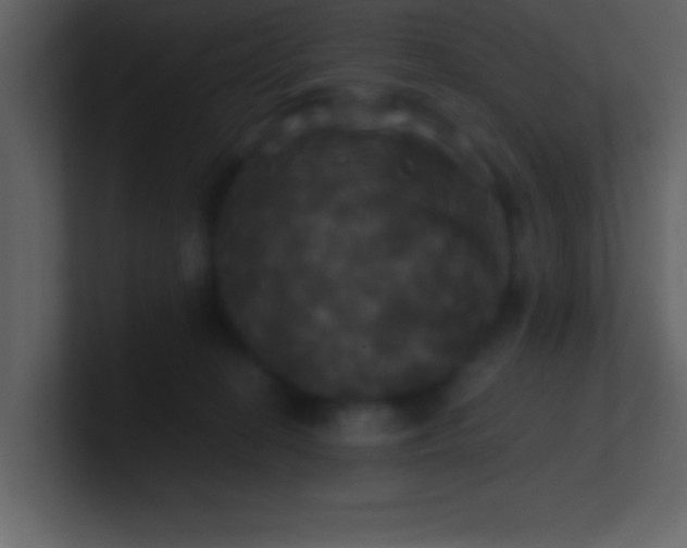 X0000100920274200807081157