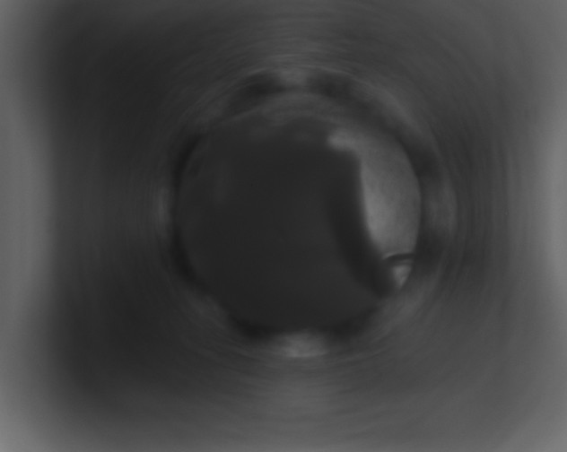 X0000100920275200807081157