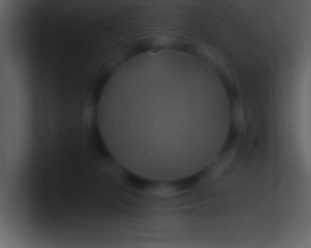 X0000100920276200807081157