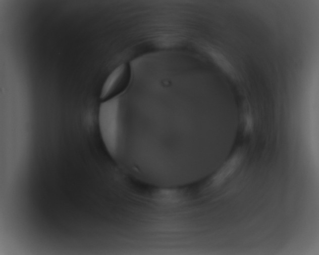 X0000100920277200807081157