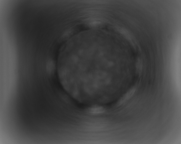 X0000100920278200807081157