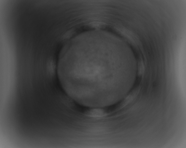 X0000100920279200807081157