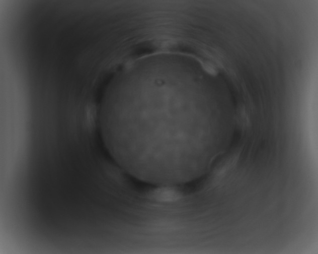 X0000100920280200807081157