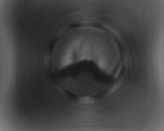 X0000100920281200807081157